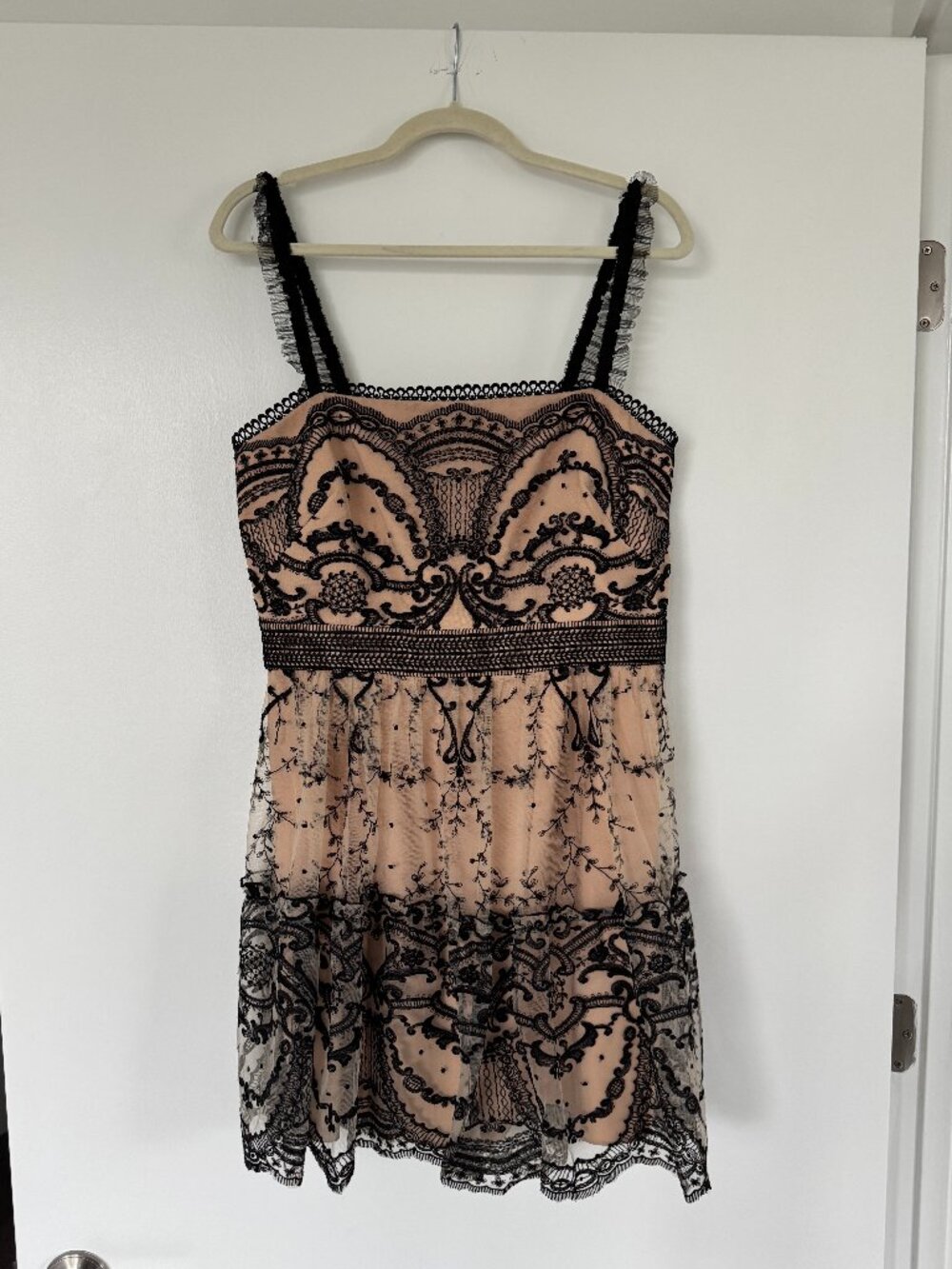 Monique Lhuillier Lace Mini Dress in Black & Nude